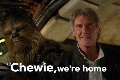 Han Solo and Chewbacca getting aboard the Millenium Falcon and calling it home.
